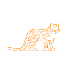 Animals Big Cats Snow Leopard Tracing Svg Vector, Free Vectors File
